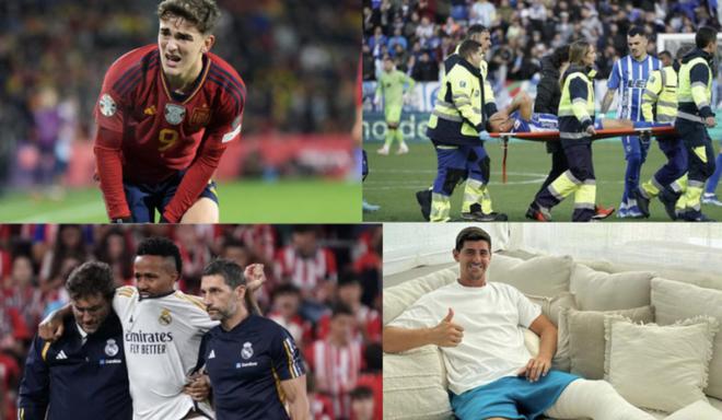 这一称号的 这一称号的